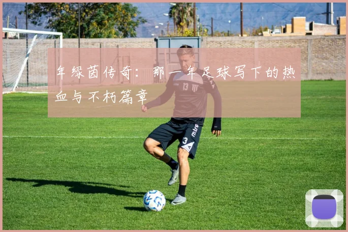 年绿茵传奇：那一年足球写下的热血与不朽篇章
