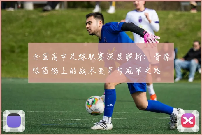 全国高中足球联赛深度解析:青春绿茵场上的战术变革与冠军之路