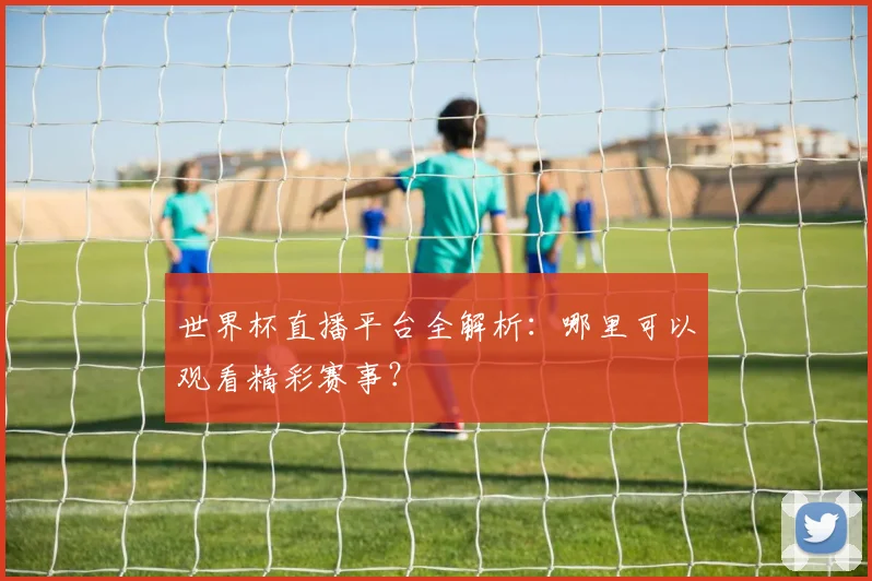世界杯直播平台全解析:哪里可以观看精彩赛事?