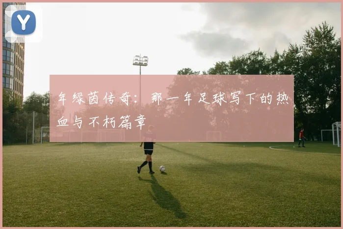 年绿茵传奇:那一年足球写下的热血与不朽篇章