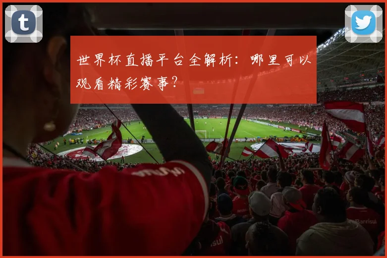 世界杯直播平台全解析:哪里可以观看精彩赛事?